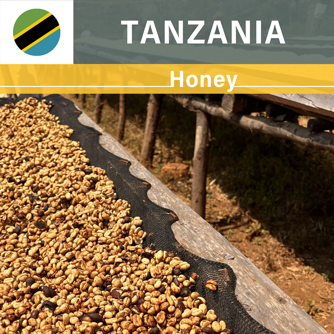 Tanzania Nsoga Honey(25/26年クロップ) | ORIGIN COUNTRIES（オリジン